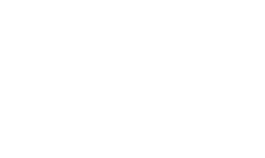 INTERNATIONAL BASIC